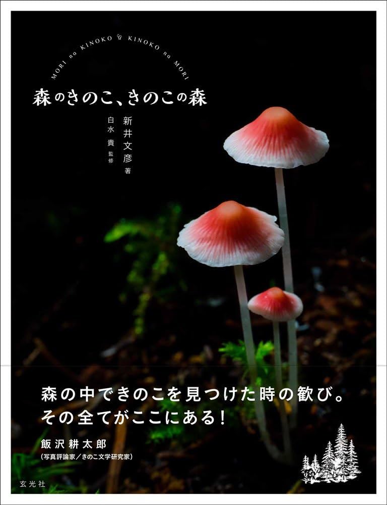 『身近なきのこ』盛岡うえっこの会・青森市森林博物館友の会によるきのこ図鑑 稀覯本 身近なきのこ』盛岡うえっこの会・青森市森林博物館友の会による